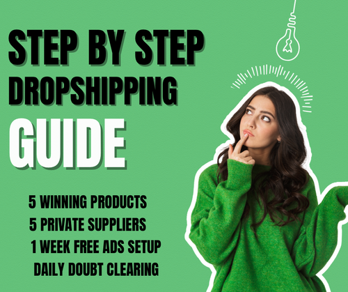 INTERNATIONAL DROPSHIPPING GUIDE + FREE PREMIUM WEBSITE